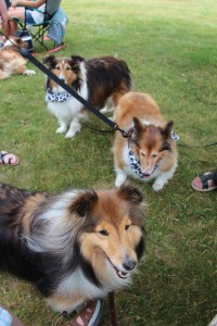 One of the only pictures of ME!