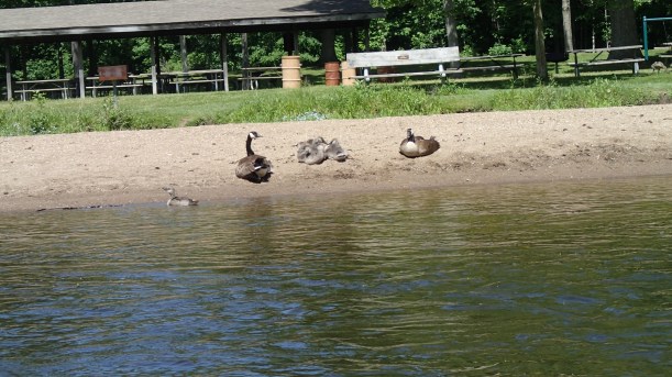 Taking the family to the beach.