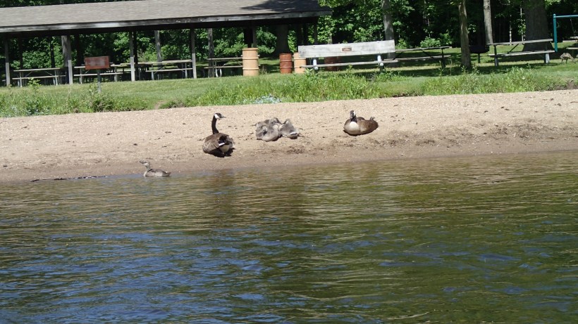 Taking the family to the beach.