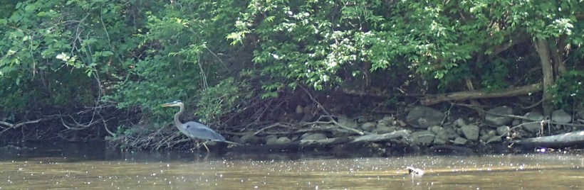 I'm not going to look at you.