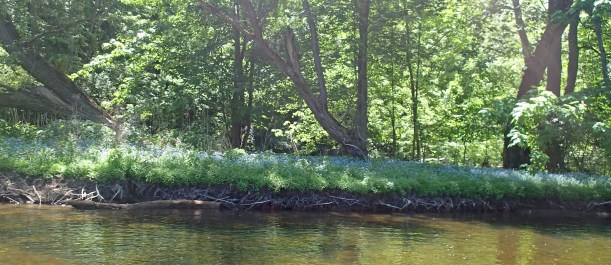 So many pretty places!