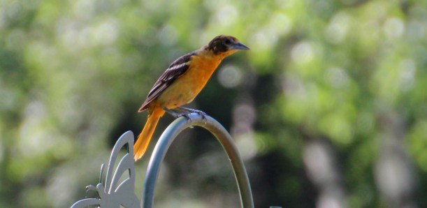 Got any jelly there lady?