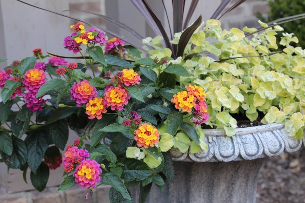 Happily spreading cheer.