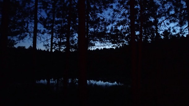 Navy trees surround the lake.