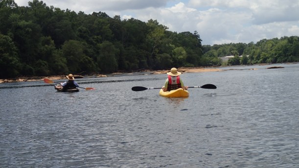 Floating on the gentle river waters.