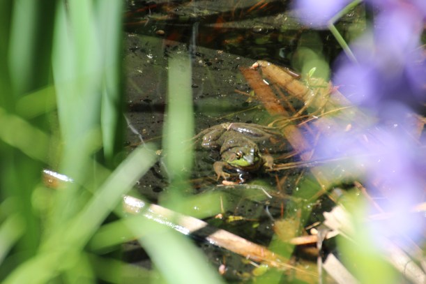 This is MY place ladies!