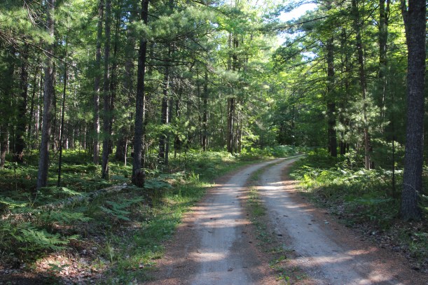 Wonder where this road goes?