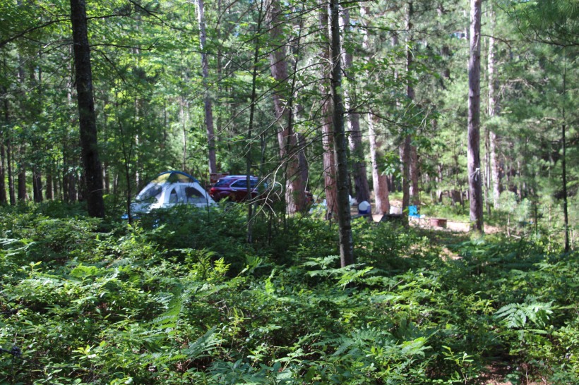 Our campsite among the ferns on the shore of a small lake.