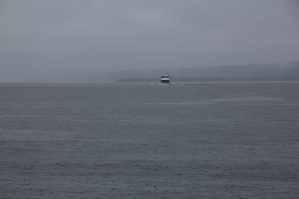 Headed out into the mist.