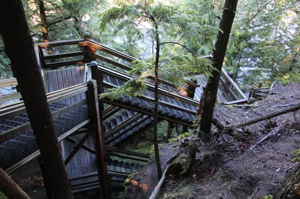 Lots of these.  Lots and lots.