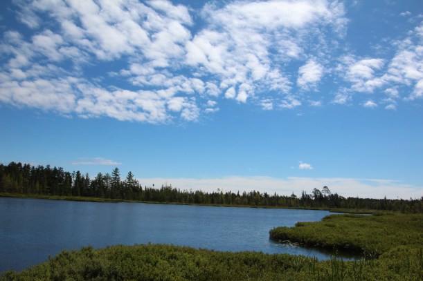 Just outside the park.