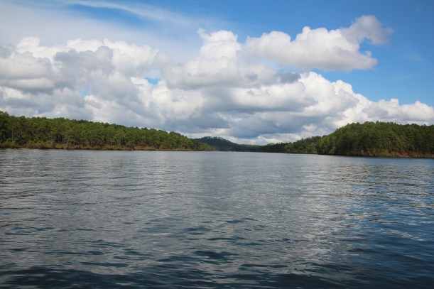 Imported Photos 00855