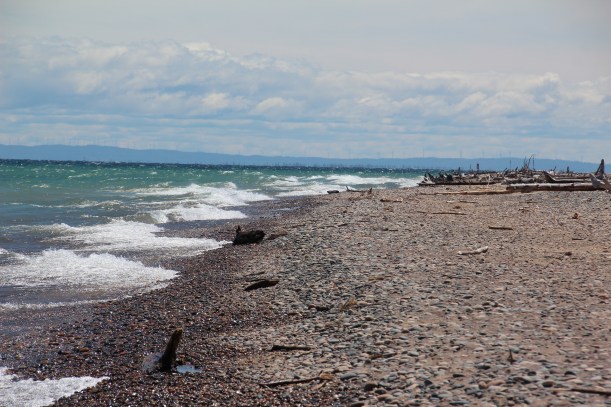 No matter where you look, it's all beautiful.