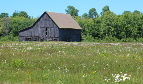 Pretty spot on a pretty day.