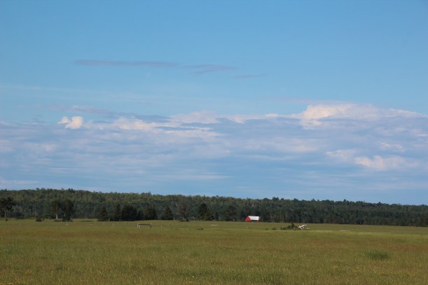 Tucked way back there among the trees was a beautiful barn.