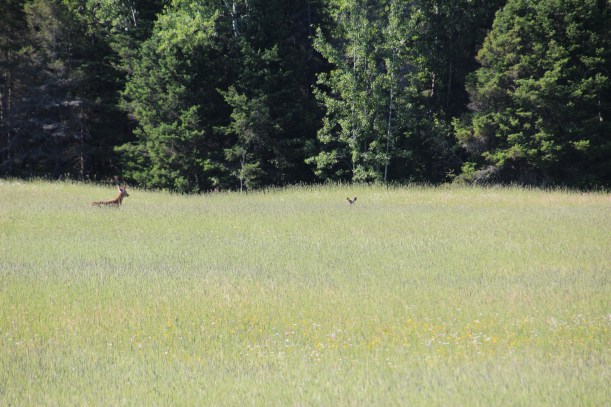 I don't think she can see us now.