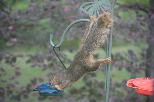 Imported Photos 03050