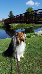 At the little park in Greyling.  It's not raining!