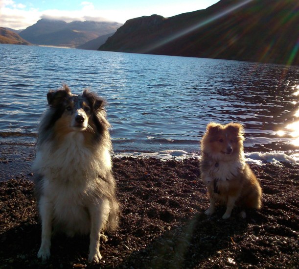 Ludo and his little brother Arran.