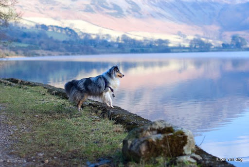 Ludo shared stunning country with us all.