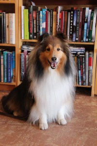 I like this store!  Support your independent book seller!