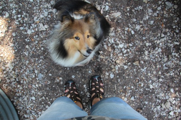 Really mama?  You couldn't keep your shorts dry?