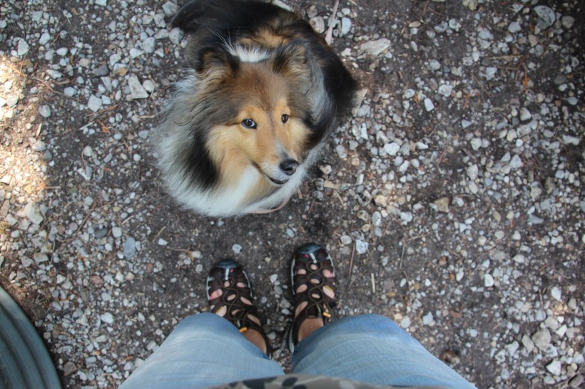 Really mama?  You couldn't keep your shorts dry?