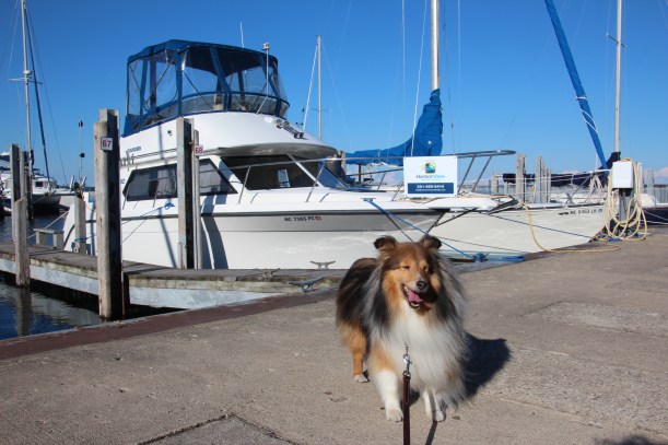 This one's for sale mama, want to buy it for me?