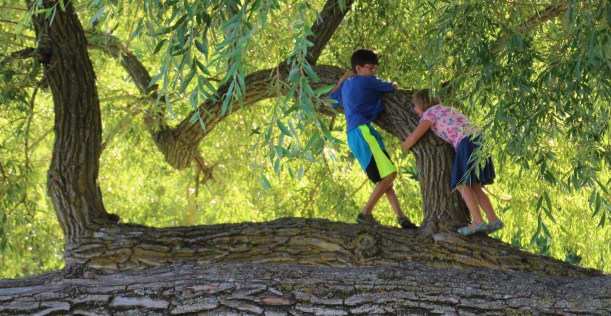 Imported Photos 00310 cropped