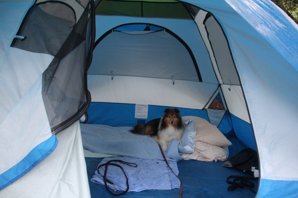 I don't want you to pack up mama!