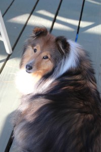 What?  I was just resting my eyes!