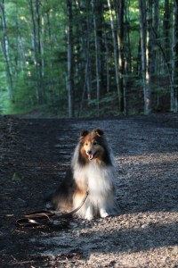 Sure is pretty 'up north!'