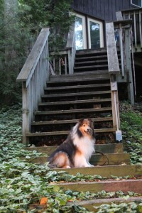 I'm not walking up all these steps mama!