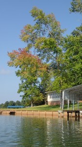 Not fall color.  Not.