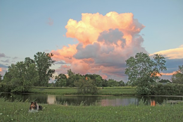 Imported Photos 01609 edited