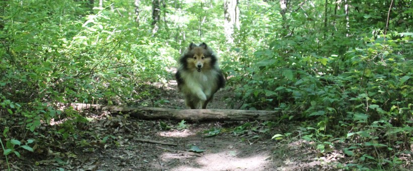 Imported Photos 01652 cropped