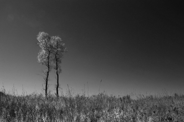 Imported Photos 02309 infered black and white