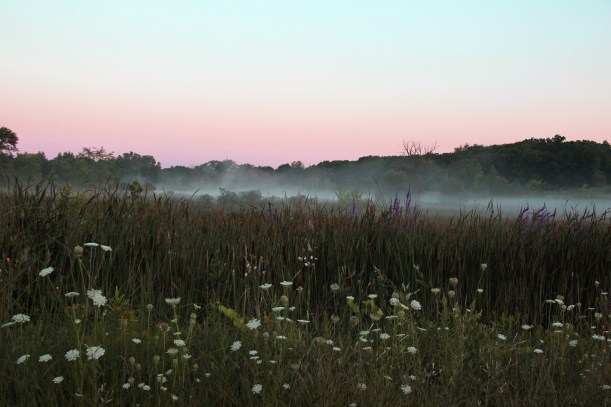 Imported Photos 03093 edited