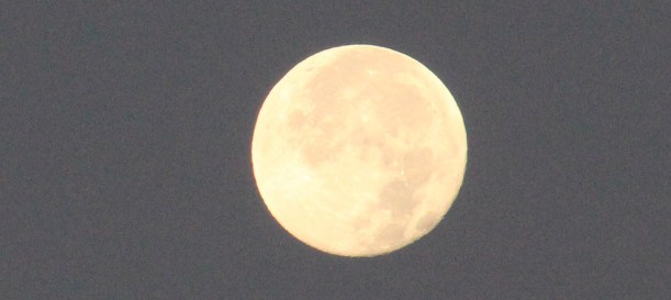 Imported Photos 03685 CROPPED 3