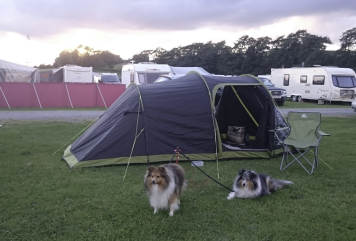Camping is so much fun!
