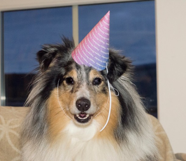 Handsome birthday boy.