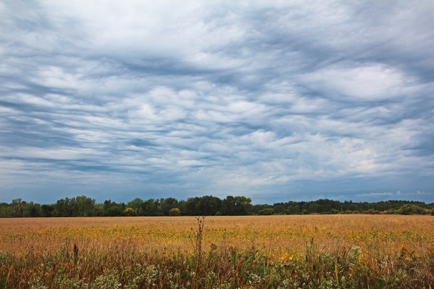 Farmland anticipates rain.