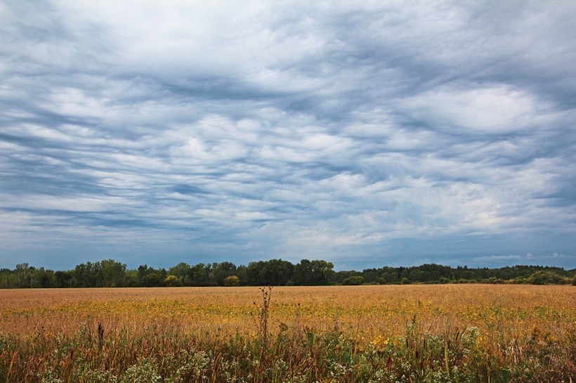 Farmland anticipates rain.