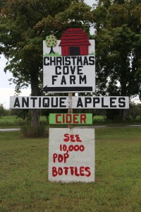 Apples, cider, and pop bottles!