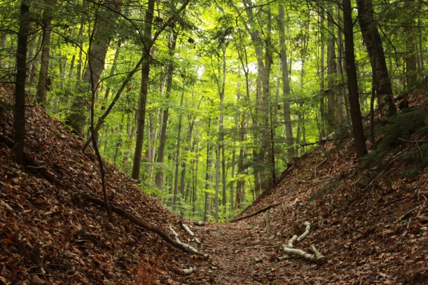 What's over that hill?