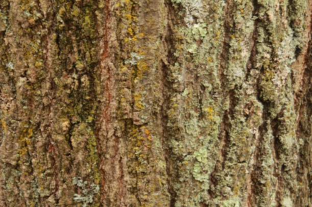 Look at all the colors!