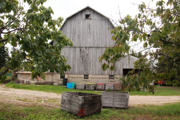 Apple barn.