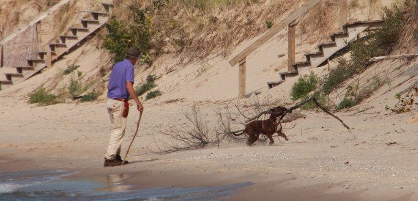 This is the jackpot of sticks!