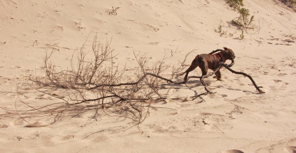 No time to talk lady!