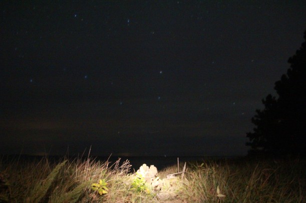 A little trick with a flashlight...slightly overdone.